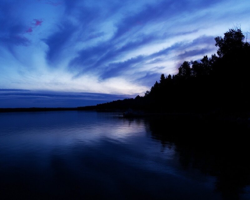 Silhouetted Trees on Lake — Blue, Night