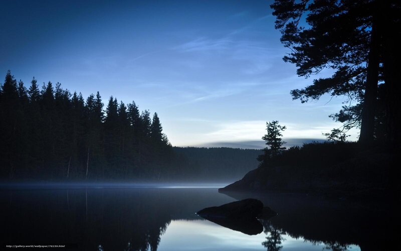 Silhouetted Trees on Lake — Blue, Serene, Night, Photograph, Fog