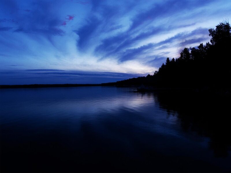 Silhouetted Trees on Lake — Blue, Serene, Night