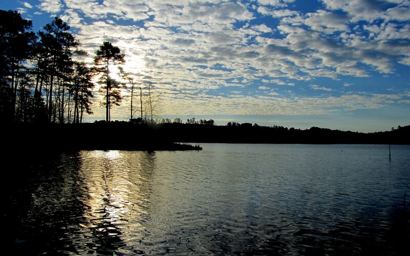 Silhouetted Trees on Lake — Blue, Serene, Sunrise, Photograph
