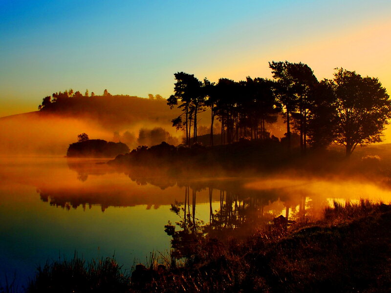 Silhouetted Trees on Lake — Blue, Serene, Sunrise