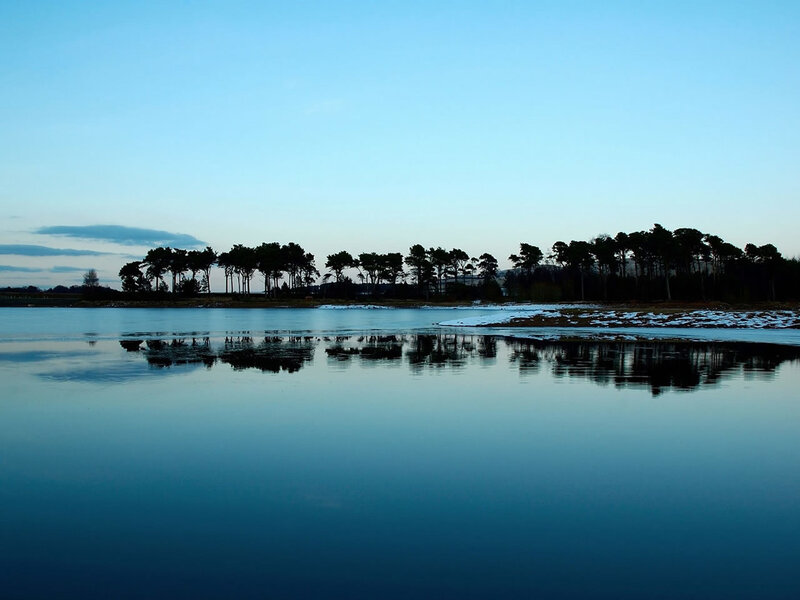 Silhouetted Trees on Lake — Blue, Serene