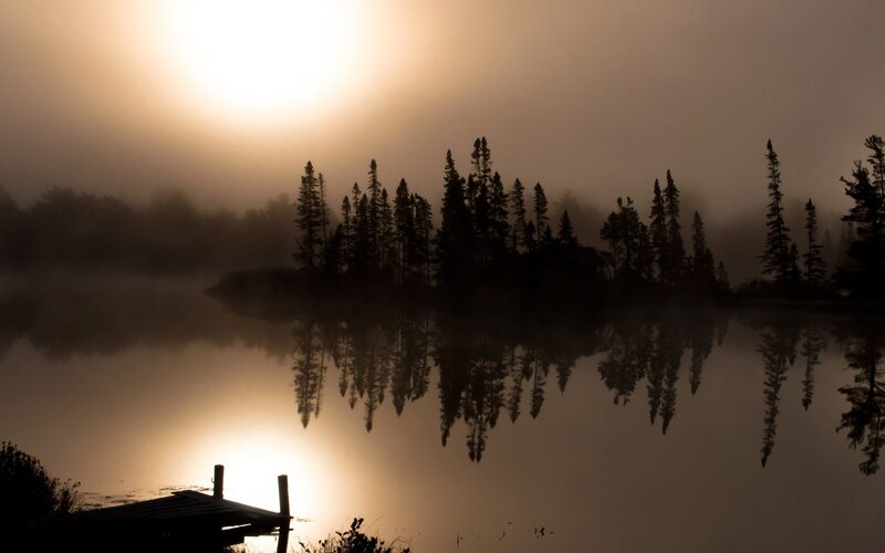 Silhouetted Trees on Lake — Brown, Serene