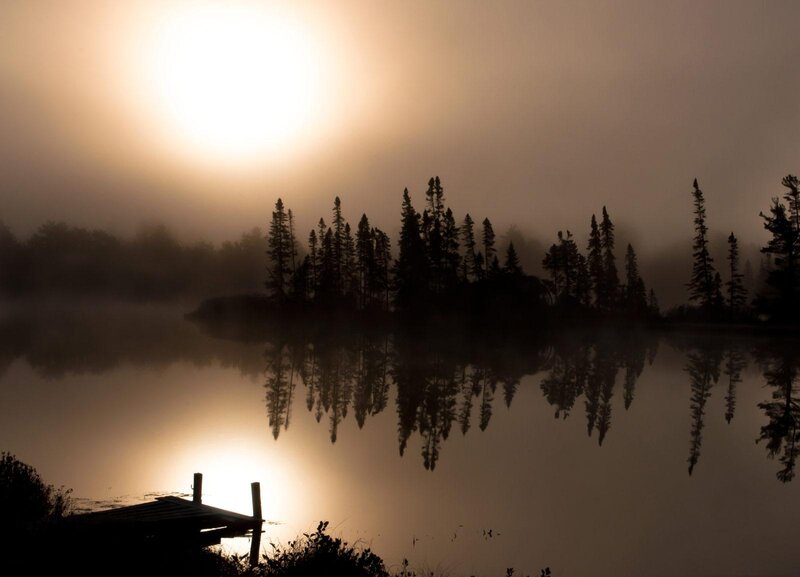 Silhouetted Trees on Lake — Brown