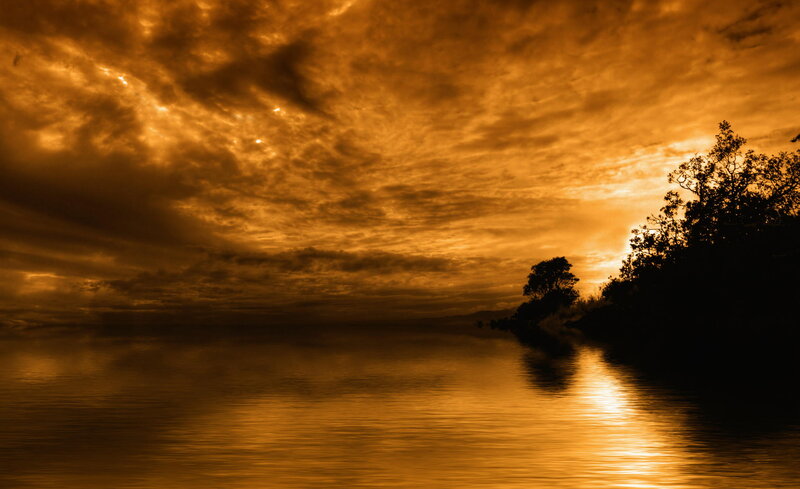 Silhouetted Trees on Lake — Orange, Dramatic