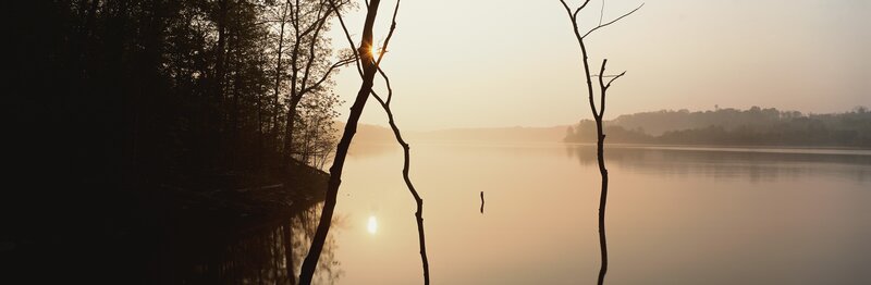 Silhouetted Trees on Lake — Orange, Serene, Sunrise, Photograph, Brown
