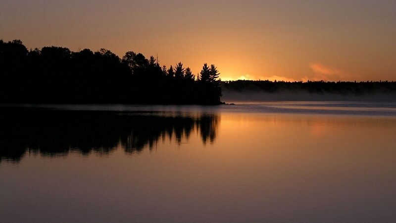 Silhouetted Trees on Lake — Orange, Serene, Sunrise