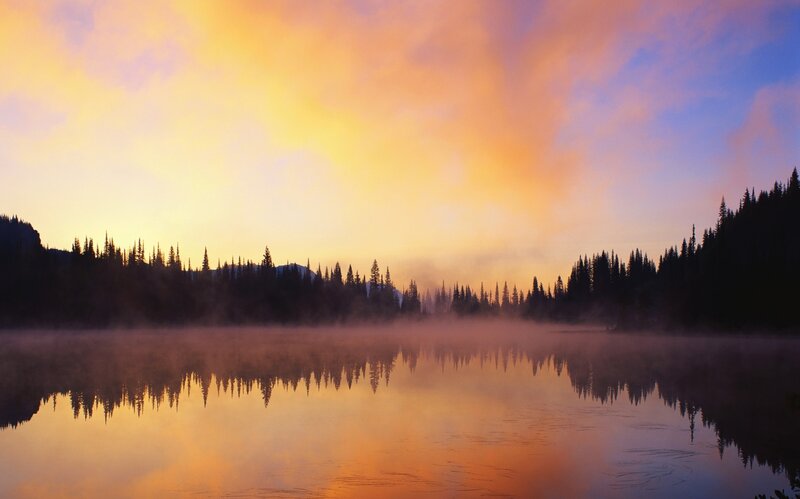 Silhouetted Trees on Lake — Orange