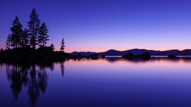 Silhouetted Trees on Lake — Purple, Serene, Sunset