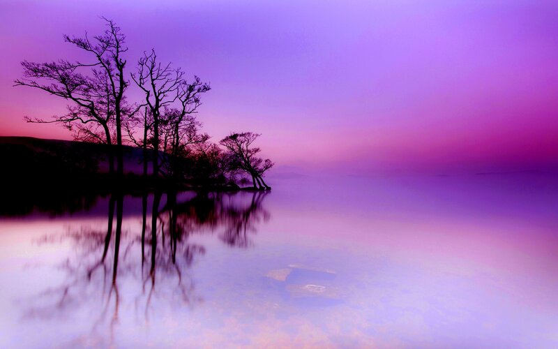 Silhouetted Trees on Lake — Purple, Serene