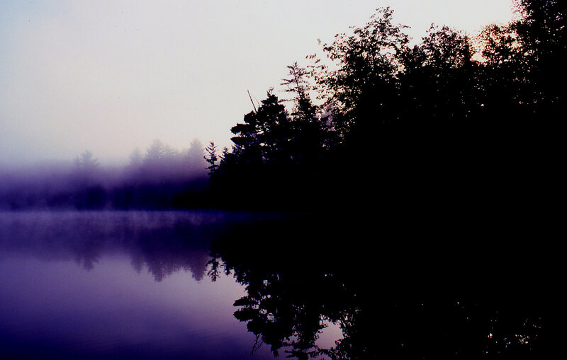 Silhouetted Trees on Lake — Purple