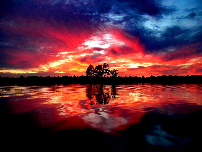Silhouetted Trees on Lake — Red, Dramatic, Sunset, Photograph, Sky, Clouds