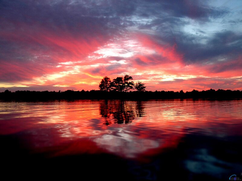 Silhouetted Trees on Lake — Red, Dramatic, Sunset, Photograph, Sky, Water