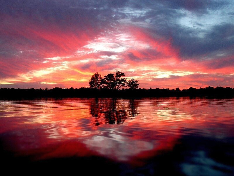Silhouetted Trees on Lake — Red, Dramatic, Sunset, Photograph