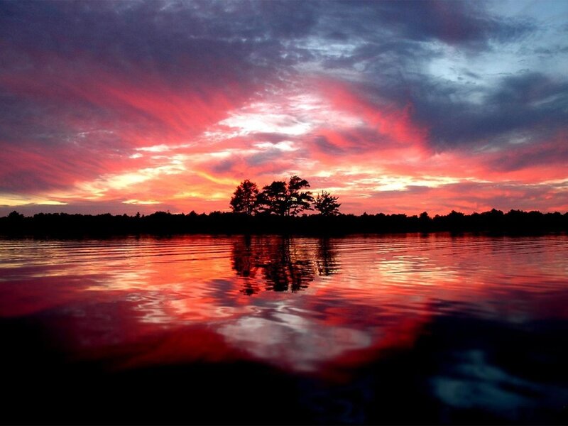 Silhouetted Trees on Lake — Red, Dramatic, Sunset