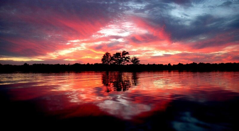 Silhouetted Trees on Lake — Red, Dramatic