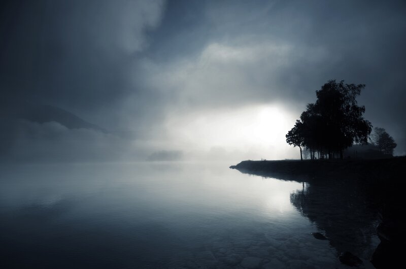Silhouetted Trees on Lake Shore — Blue, Serene