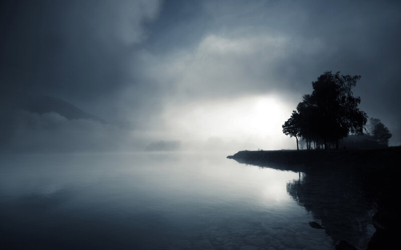 Silhouetted Trees on Lake Shore