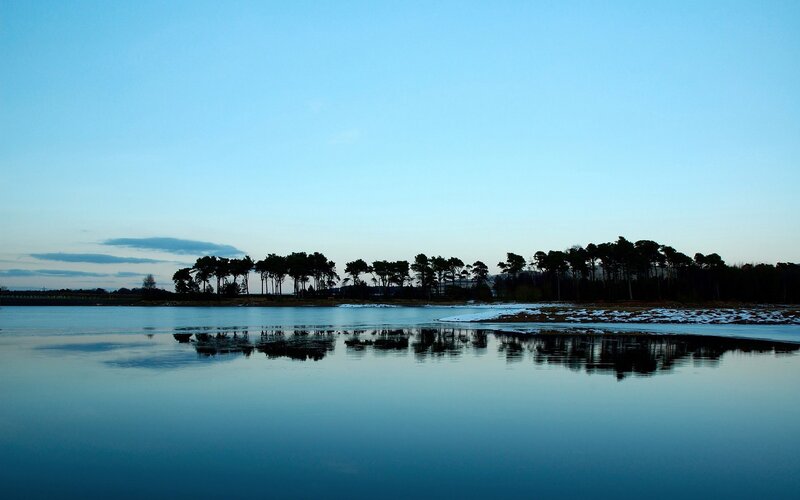Silhouetted Trees on Lake — Snow