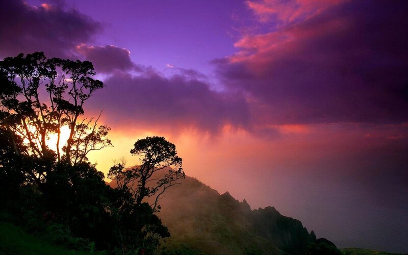 Silhouetted Trees on Mountain