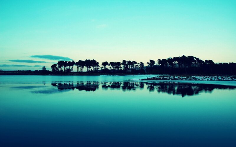 Silhouetted Trees on Shore — Blue, Serene