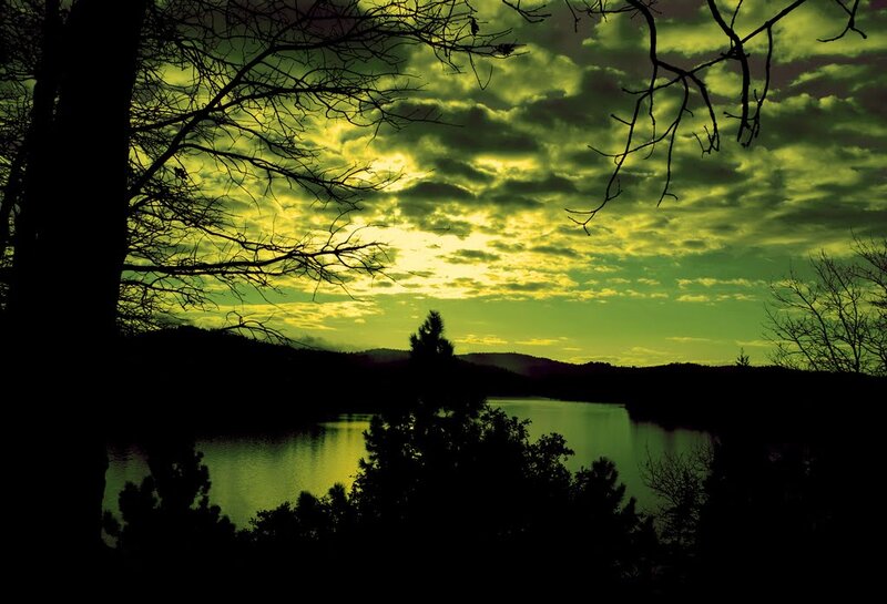 Silhouetted Trees over Lake — Green