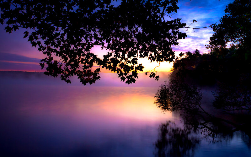 Silhouetted Trees over Lake