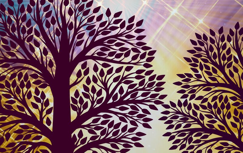 Silhouetted Trees — Purple