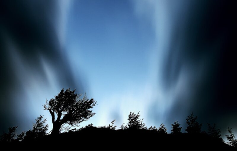 Silhouetted Trees under Aurora — Blue