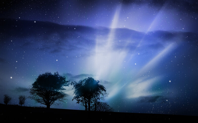 Silhouetted Trees under Aurora