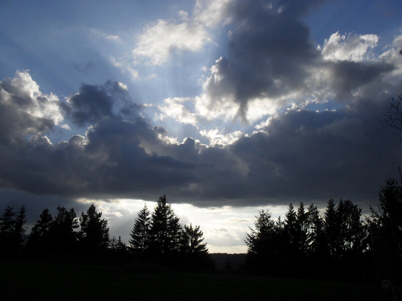 Silhouetted Trees under Clouds — Blue