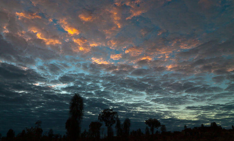 Silhouetted Trees under Clouds
