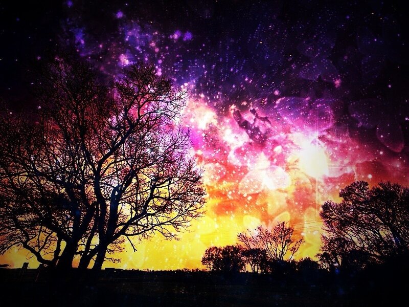 Silhouetted Trees under Galaxy — Purple