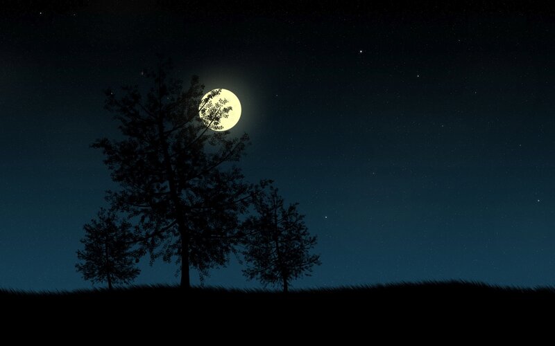 Silhouetted Trees under Moon — Black, Serene, Night, Digital Art
