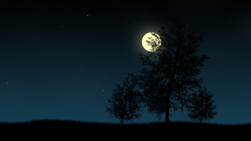 Silhouetted Trees under Moon — Black, Serene, Night