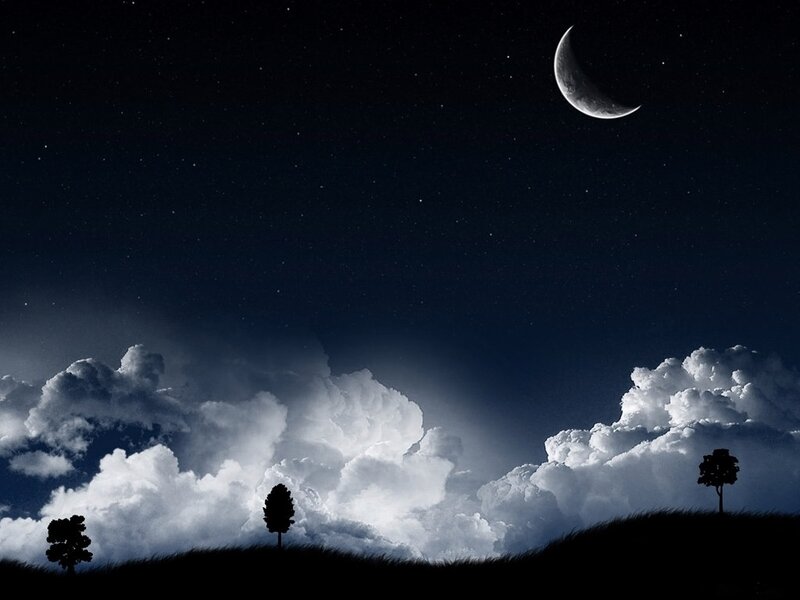 Silhouetted Trees under Moon — Black, Serene