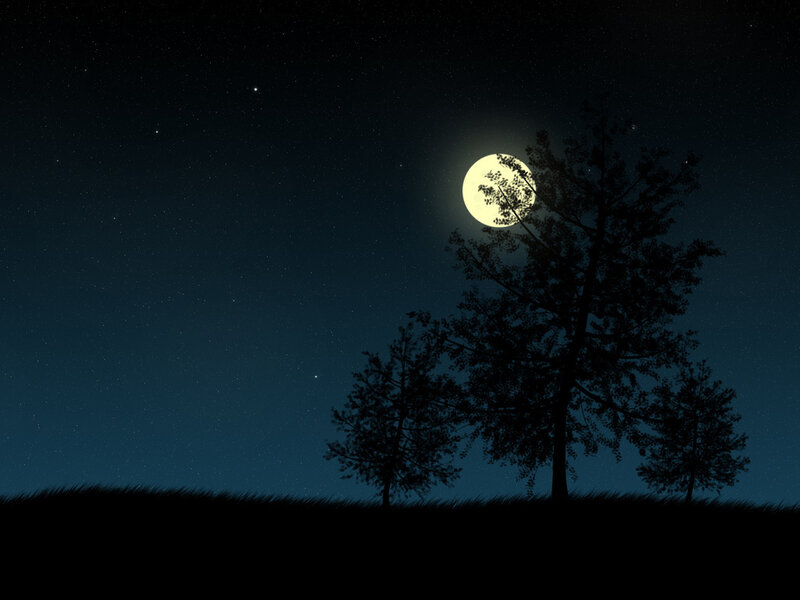 Silhouetted Trees under Moon — Black