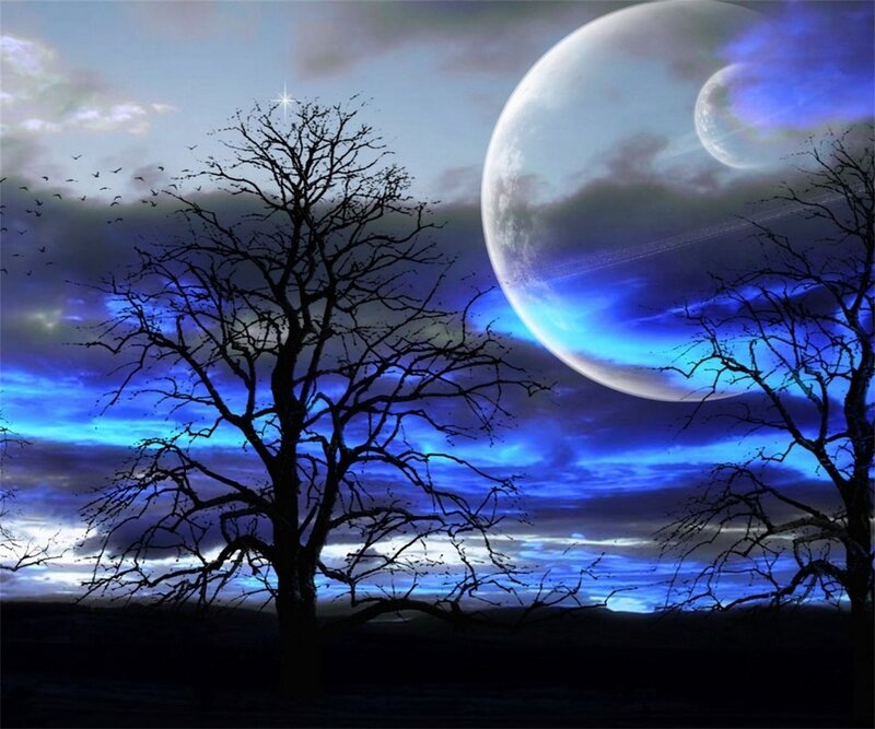 Silhouetted Trees under Moon — Blue, Dramatic, Night, Digital Art