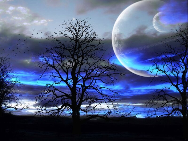 Silhouetted Trees under Moon — Blue, Dramatic, Night
