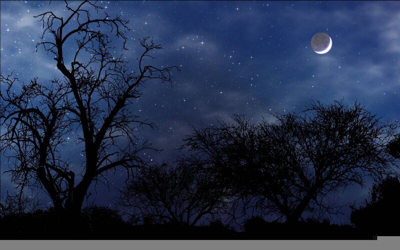 Silhouetted Trees under Moon — Blue, Serene, Night, Digital Art, Stars, Black