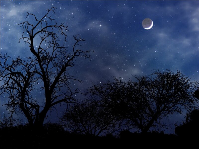 Silhouetted Trees under Moon — Blue, Serene, Night, Digital Art, Stars, Clouds