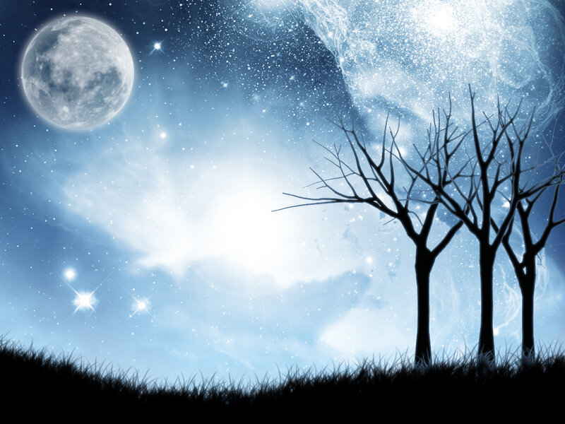 Silhouetted Trees under Moon — Blue, Serene, Night, Digital Art, Stars, Grass