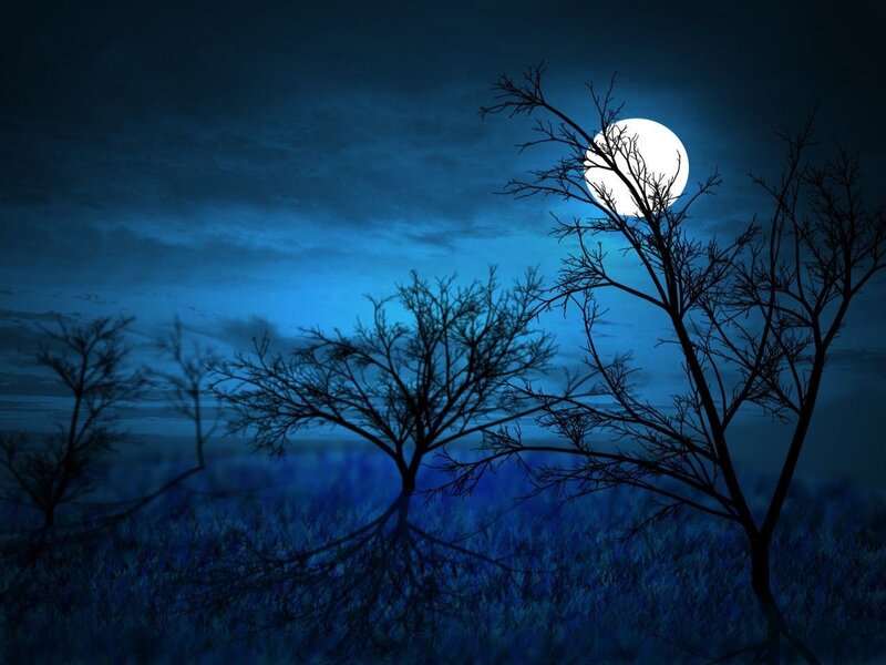 Silhouetted Trees under Moon — Blue