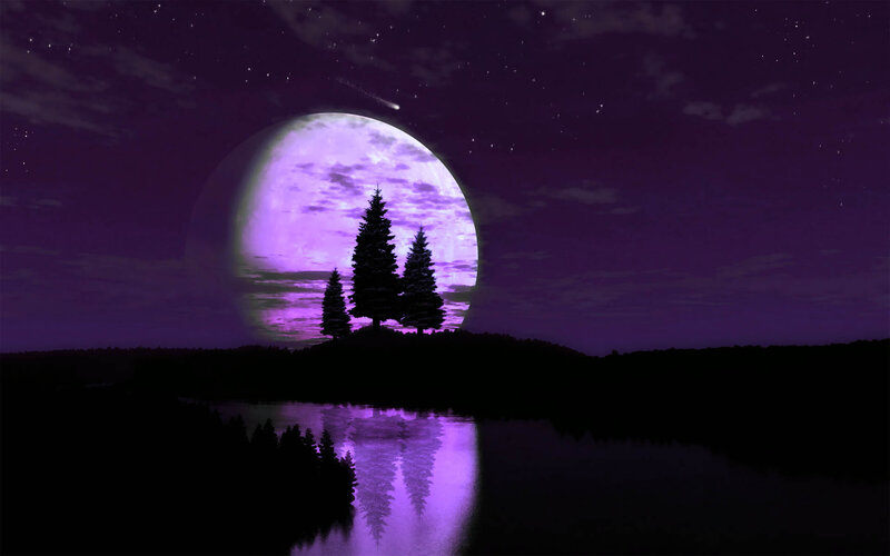 Silhouetted Trees under Moon — Purple, Serene, Night