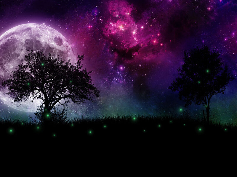 Silhouetted Trees under Moon — Purple, Serene