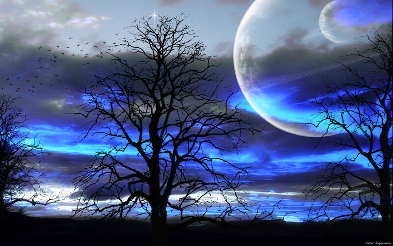 Silhouetted Trees under Moons