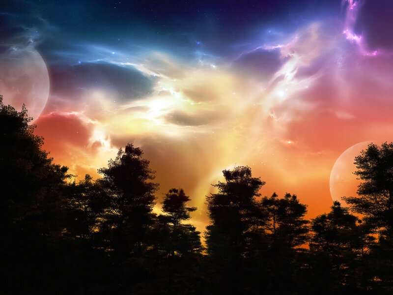Silhouetted Trees under Nebula — Orange, Dramatic