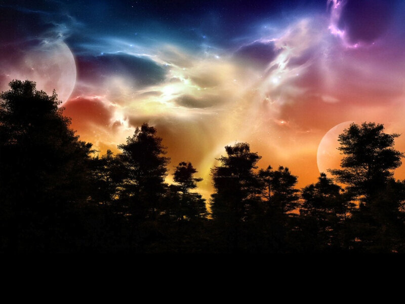 Silhouetted Trees under Nebula — Orange