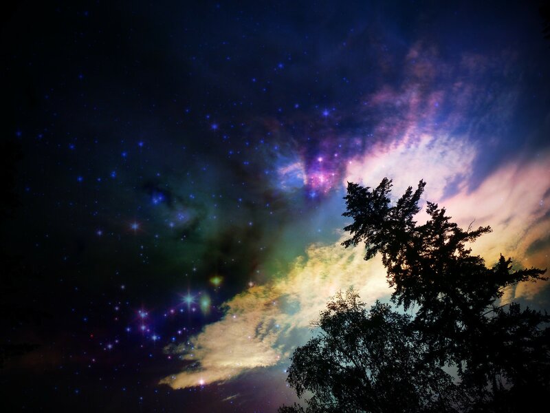 Silhouetted Trees under Nebula — Purple