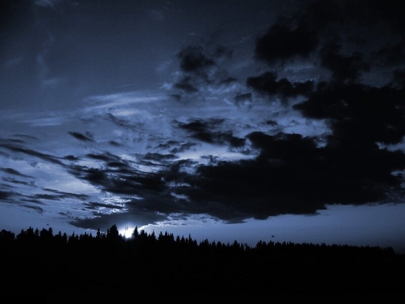 Silhouetted Trees under Night Sky